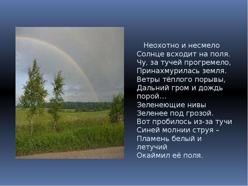 Стихотворение несмело. Тютчев Принахмурилась земля. Тютчев зеленеющие Нивы. Стихотворение неохотно и несмело. Чу за тучей прогремело Принахмурилась земля.