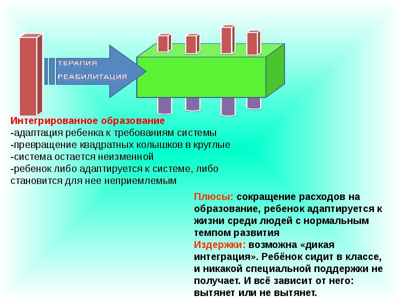 Интегрированное образование презентация