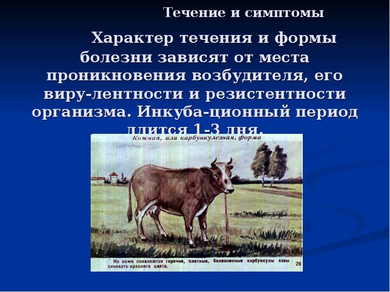 Течение и симптомы  	Характер течения и формы болезни зависят от