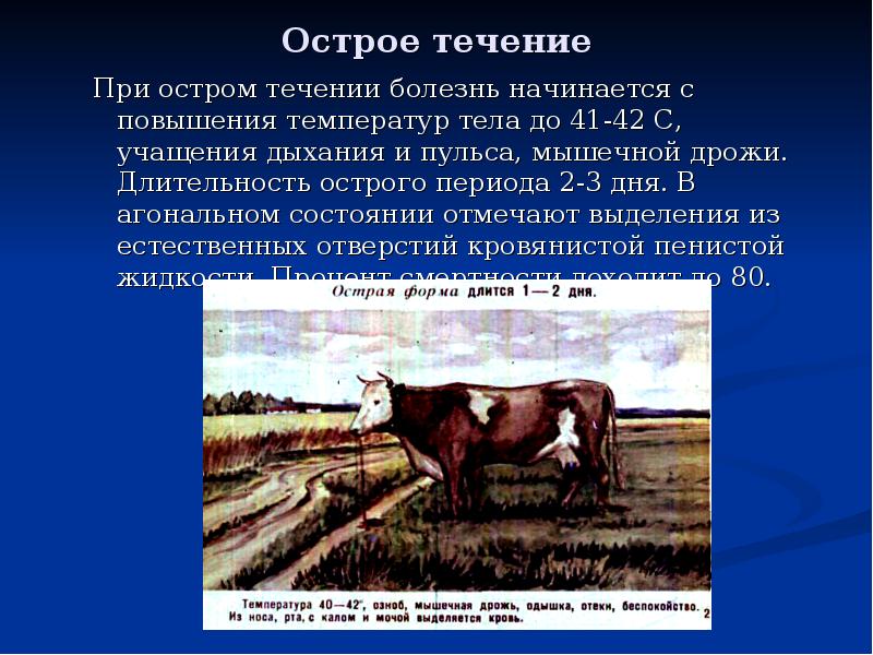 Острое течение При остром течении болезнь начинается с повышения температур тела