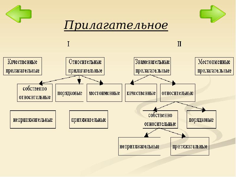 Собственно. Относительное прилагательное. Качественное и относительное прилагательное. Собственные прилагательные. Собственный и качественные прилагательные.