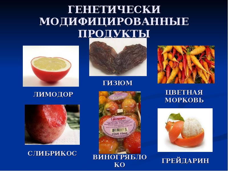 Трансгенные продукты питания и здоровье человека проект