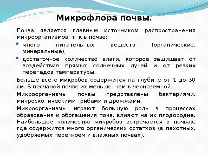 Микрофлора почвы микробиология презентация