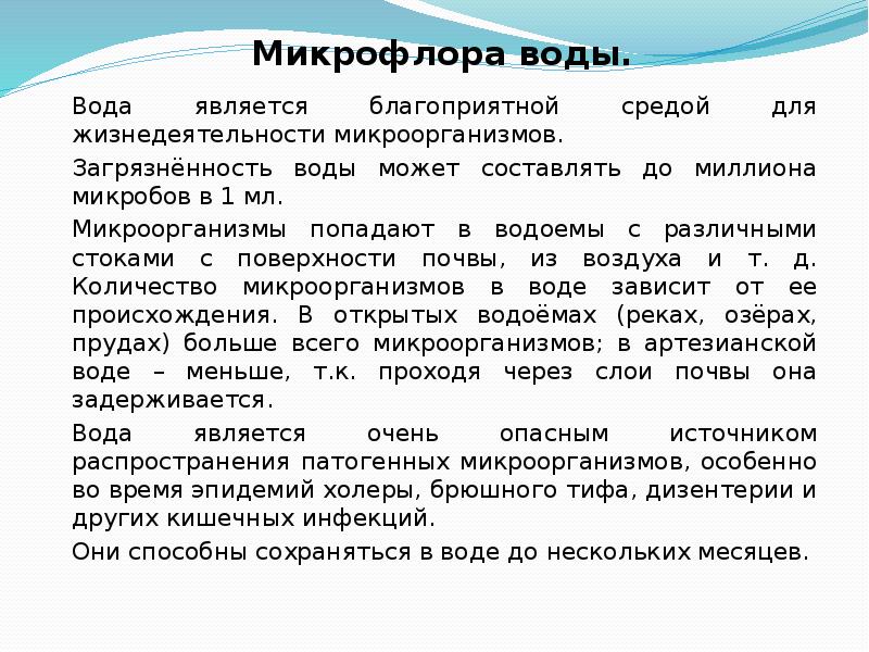 Микрофлора воды презентация