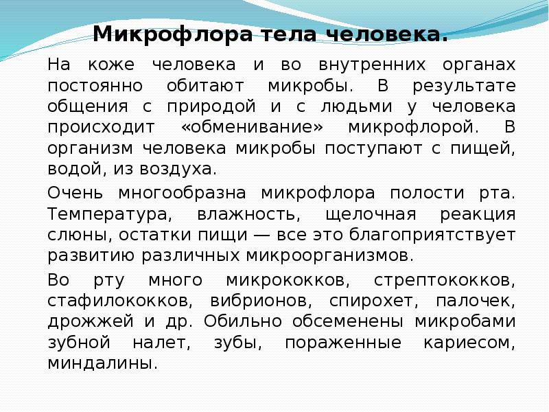 Проект микрофлора воздуха