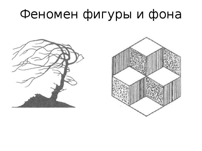 Феномены восприятия схема