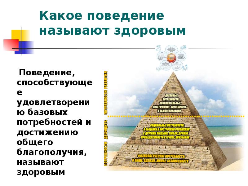 Какое поведение называют. Здоровья благополучия безопасности. «Образование. Здоровье. Безопасность». Какие программы, называют «безопасные для здоровья». Здоровое экономическое поведение способствует.