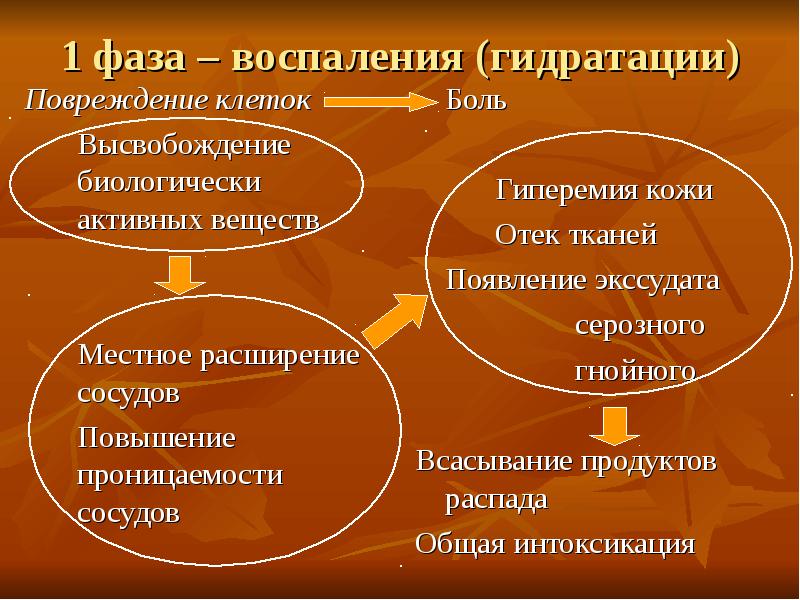 1 стадии воспаления. Фазы воспаления. Фазы воспаления хирургия. Фазы воспалительного процесса. 1 Фаза воспаления.