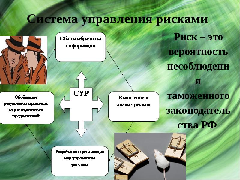 Система управления рисками. Система управления рисками в таможенных органах. Управление рисками в таможенном деле. Риски таможенных органов. Сур система управления рисками в таможенном деле.