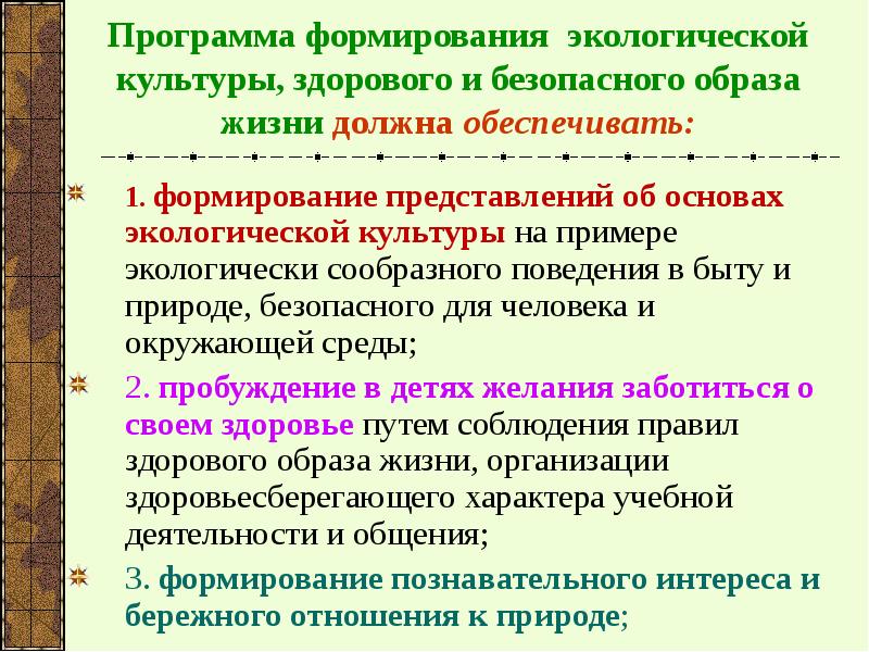 Программа формирования экологической культуры здорового и безопасного образа жизни презентация