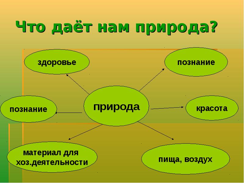 Презентация человек природа