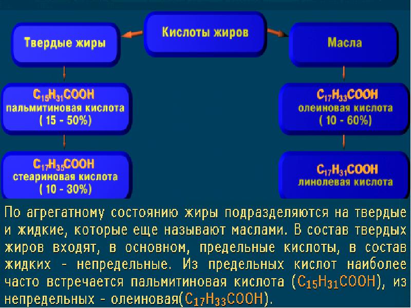 Химия жиры презентация