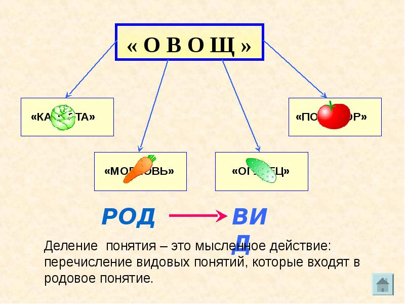 Обобщающее понятие под которым