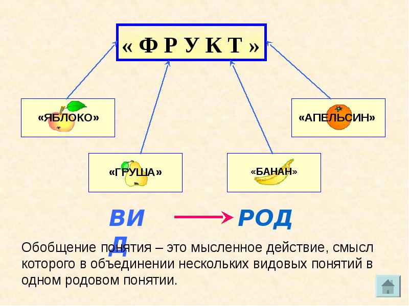 Выберите обобщающее понятие