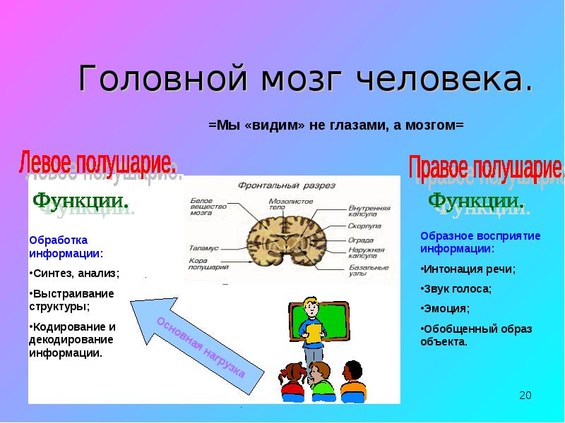 Анализ мозга. Мозг обрабатывает информацию. Обработка информации в мозге человека. Мозг и информация. Восприятие информации мозгом.