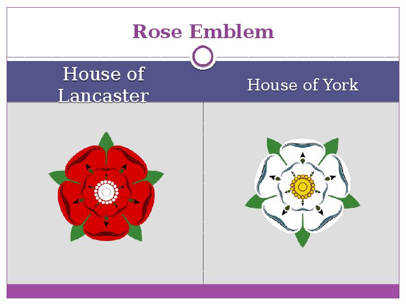 Rose symbol of england