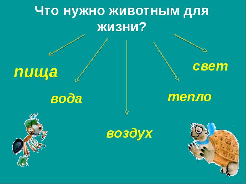 Урок окружающего мира 1 класс как живут животные с презентацией