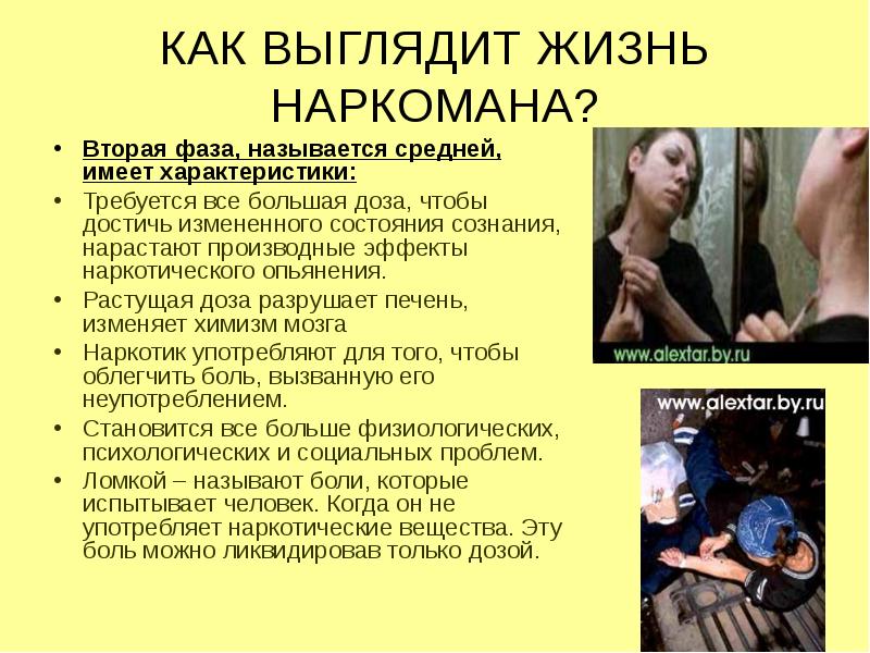 Как выглядит жизнь