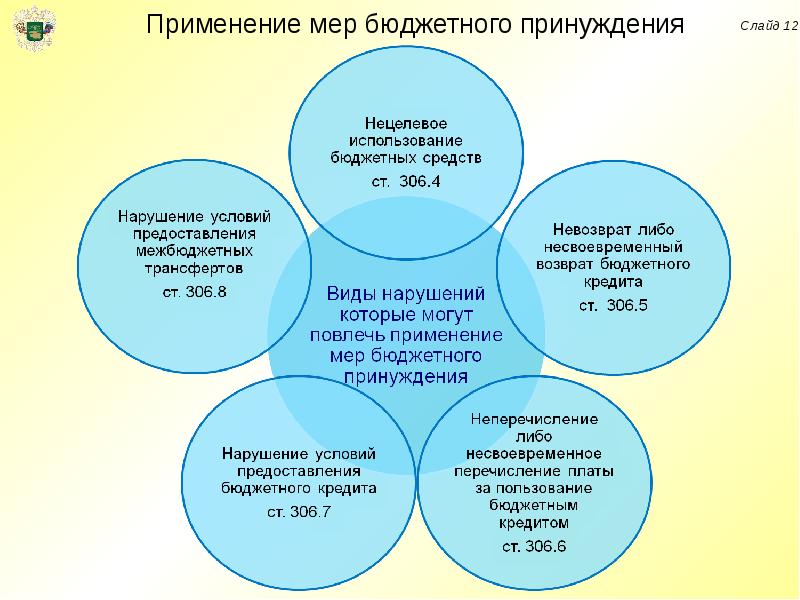 Ответственность за нарушение бюджетного законодательства рф презентация