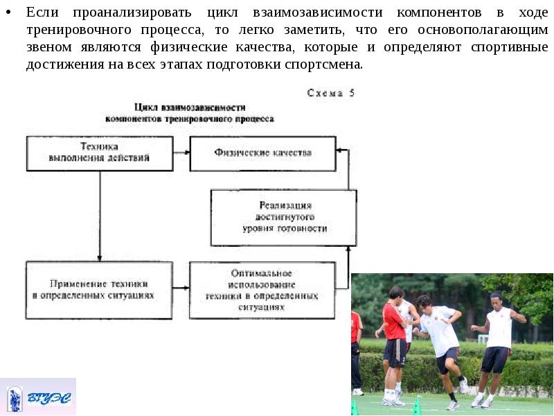 Основные физические качества обеспечивающие высокий уровень здоровья схема