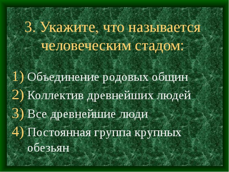 Объединение родов. Древнейший коллектив людей назывался. Объединение родовых общин. Коллектив древнейших людей называется человеческим стадом.. Как назывался 1 коллектив древнейших людей.