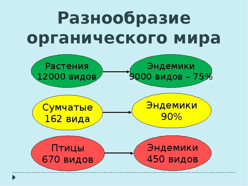 Разнообразие велико. Разнообразие органического мира. Как Велико разнообразие органического мира. Конспект своеобразие органического мира. Растения и животные Австралии 7 класс таблица.