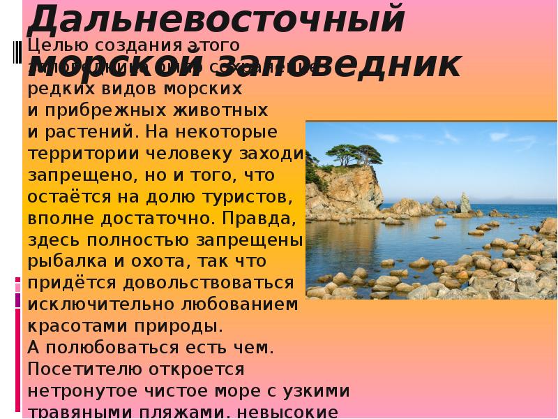 Дальневосточный морской заповедник кратко