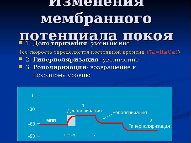 Изменения 14. Деполяризация мембранного потенциала. Гиперполяризация это в физиологии. Увеличение мембранного потенциала. Уменьшение мембранного потенциала.