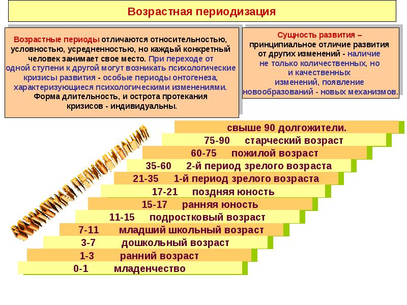 Возрастная психология схема - 90 фото