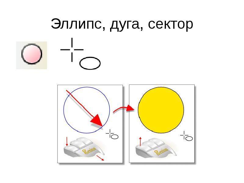 Найти дугу сектора. Дуга эллипса. Эллипсная дуга. Дуга сектора. Дуговой сектор.