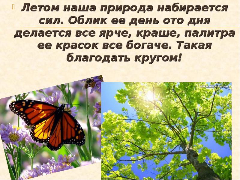 День ото дня. Наберись сил. Такая вокруг Благодать. Аыхрдной как набраться сил у природы. Любое время года Благодать видео для 7-8 класс презентация.