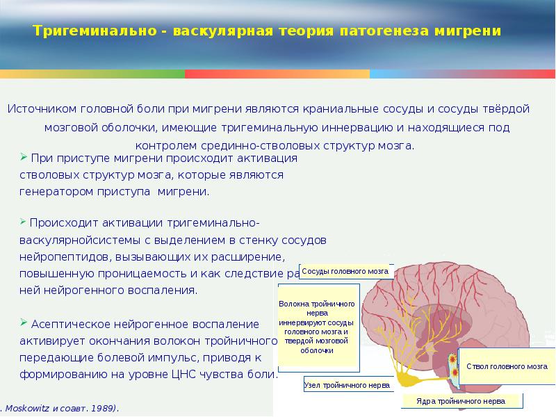 Что происходит при мигрени. Патогенез мигрени. Сосуды головного мозга при мигрени. Расширение сосудов при мигрени. Этиология головной боли.