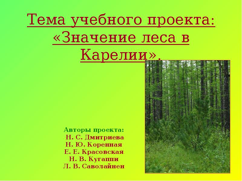 Проект значение. Леса Карелии презентация. Значение лесов в городе. Значение леса в народном хозяйстве. Имя обозначающее лес.