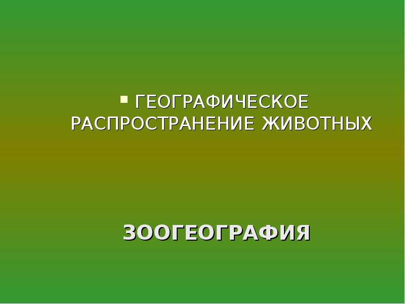 Жизнедеятельность животных. Кто такие животные биология.