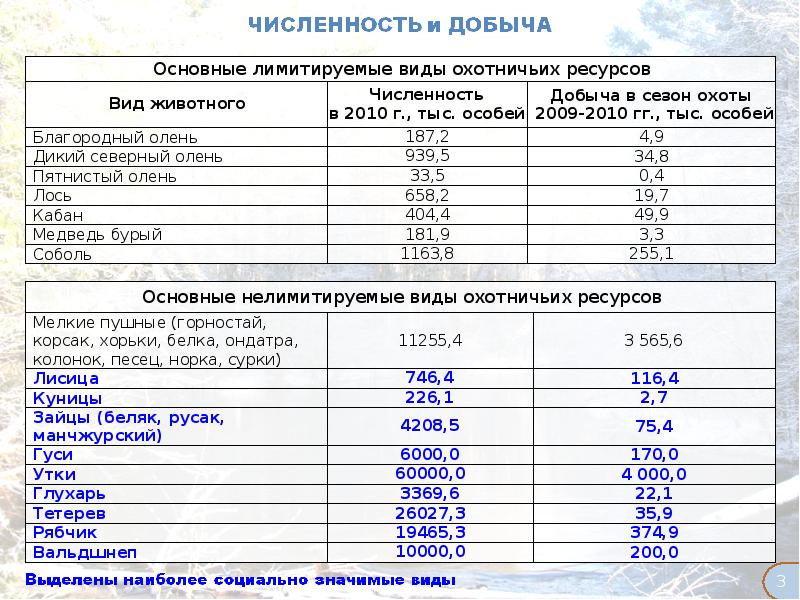 Добыча охотничьих ресурсов