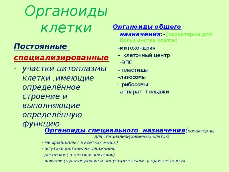 Органоиды и функции которые они выполняют. Органоиды и функции которые они выполняют