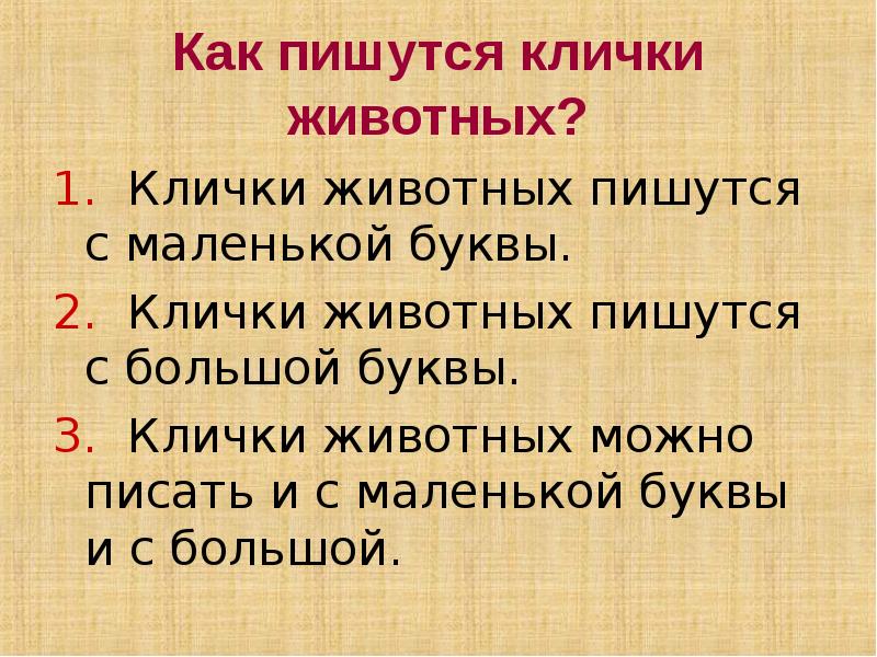 Правительство с большой или маленькой буквы