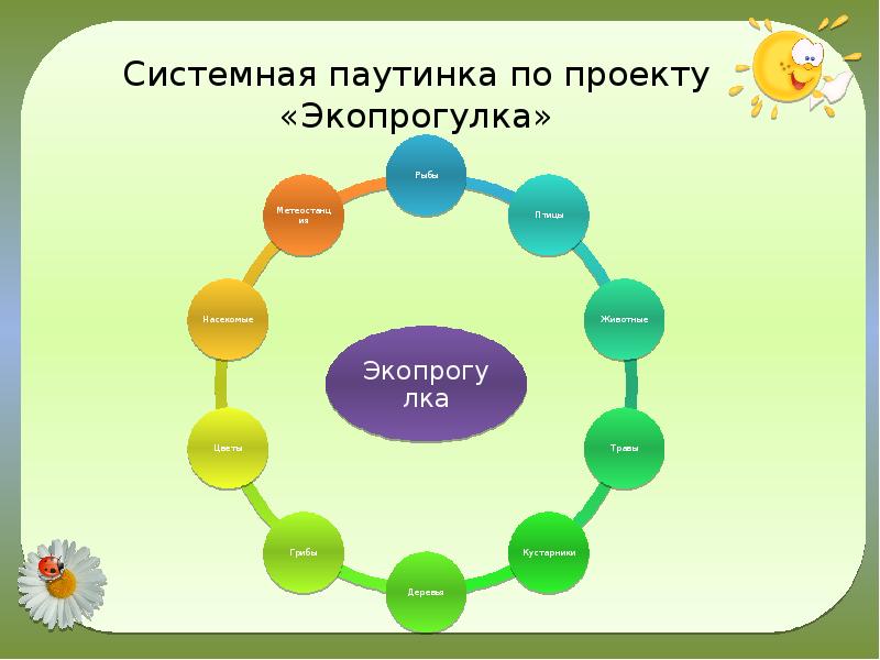 Паутинка к проекту