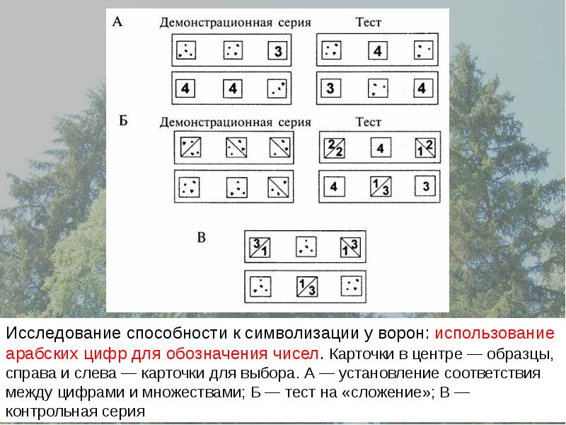 Установление соответствие между цифрами.