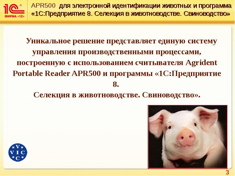 Селекция в животноводстве. Селекция в животноводстве