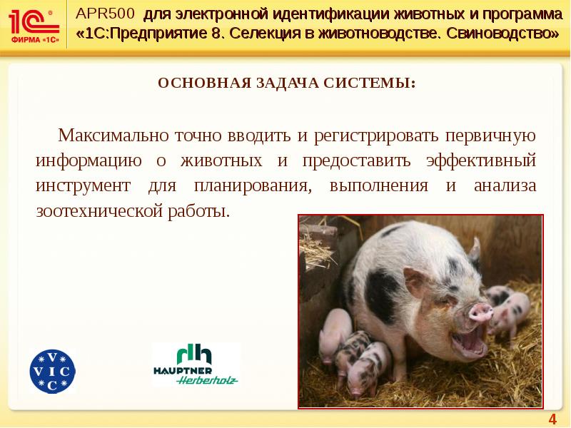 Селекция в животноводстве. 1с:предприятие 8. селекция в животноводстве. свиноводство. план идентификации животных. электронные системы идентификации в животноводстве. какие методы используют для идентификации животных?.