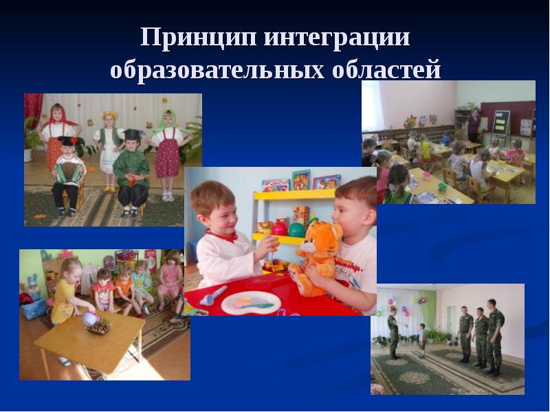 Принцип интеграции в образовательном процессе. Принцип интеграции в образовательном процессе