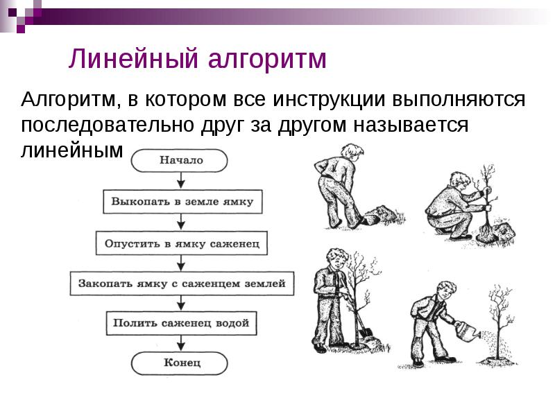 Линейные алгоритмы 6 класс босова презентация