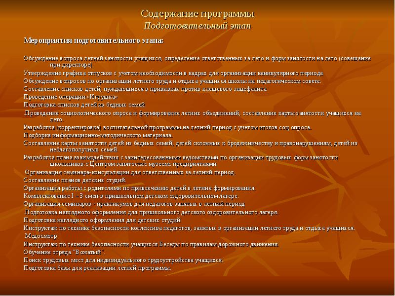 План подготовительных работ. Программы летней занятости. Программа летней занятости детей. Содержание подготовительного этапа. План мероприятия на подготовительный.