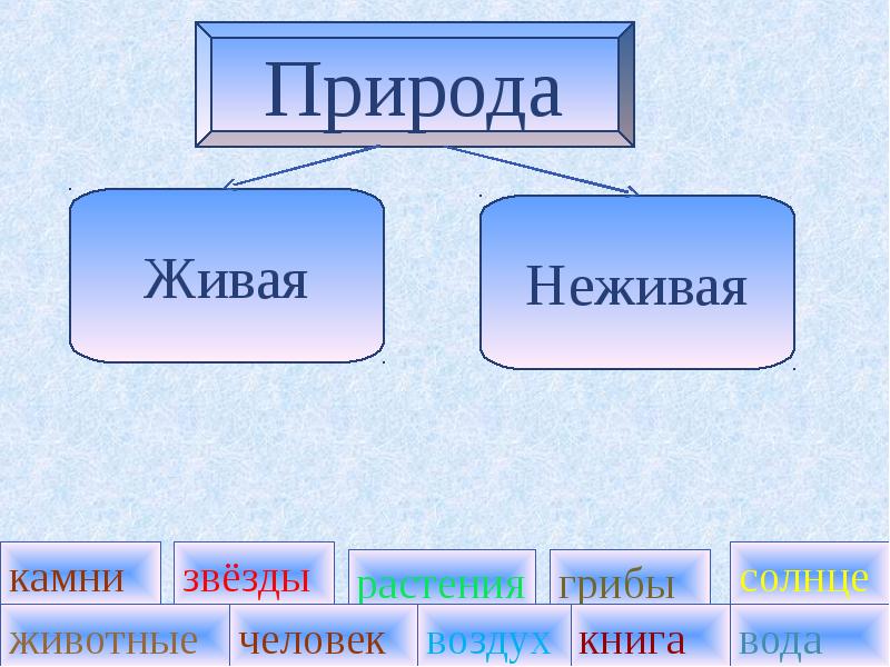 В гости к зиме 2 класс окружающий мир презентация