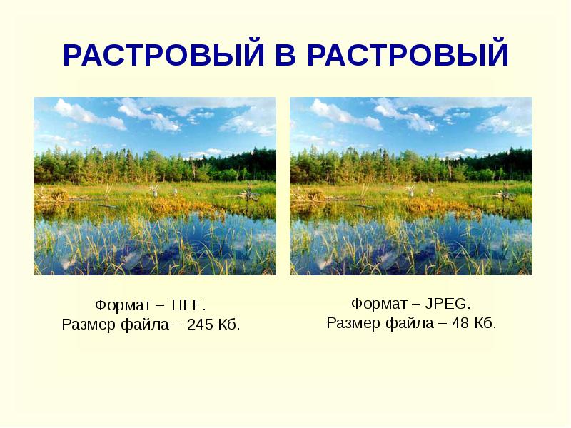 1 й формат. Растровые форматы. форматы jpeg и jpg tiff размеры.