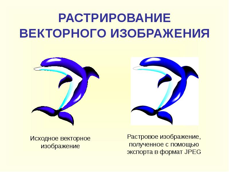 Из каких элементов состоит векторное изображение