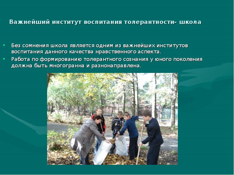 Институт воспитания уроки. Институт воспитания. школа как институт воспитания.
