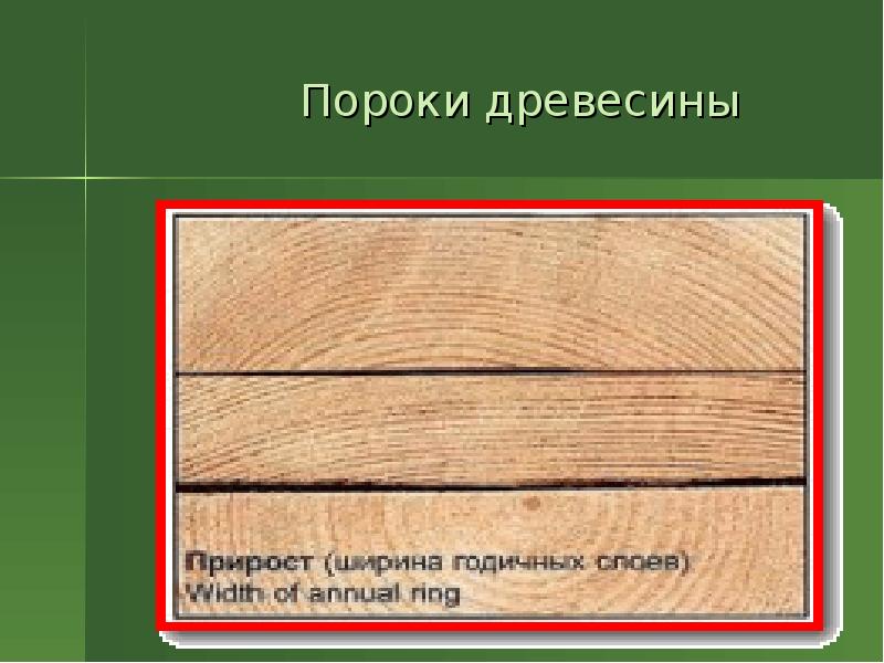 Пороки древесины технология. Пороки обработки древесины. Дерево дефектов. Пороки древесины презентация. Дефекты обработки древесины презентация.