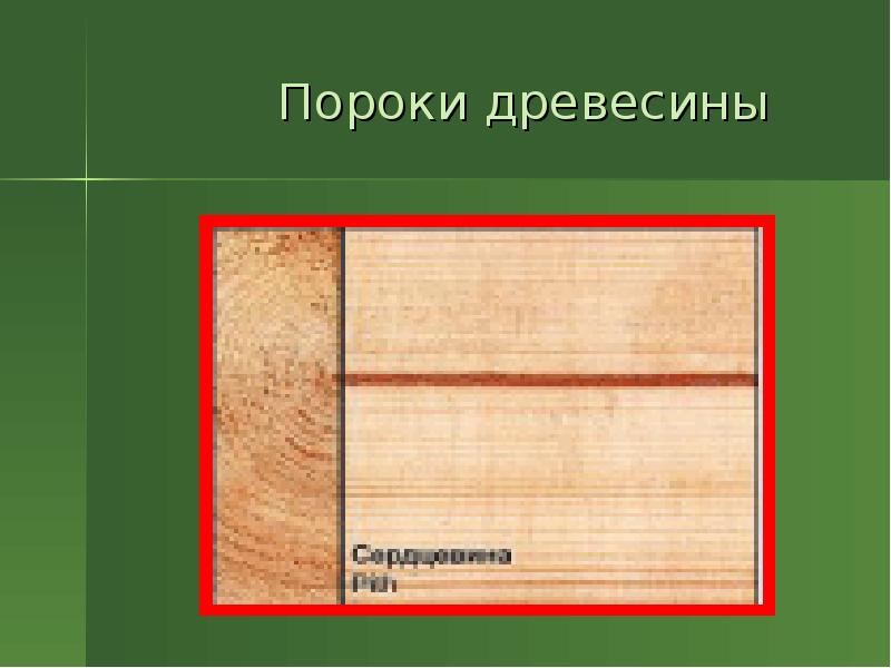 Пороки древесины технология. Пороки обработки древесины. Пороки древесины на шпоне. Дерево дефектов.